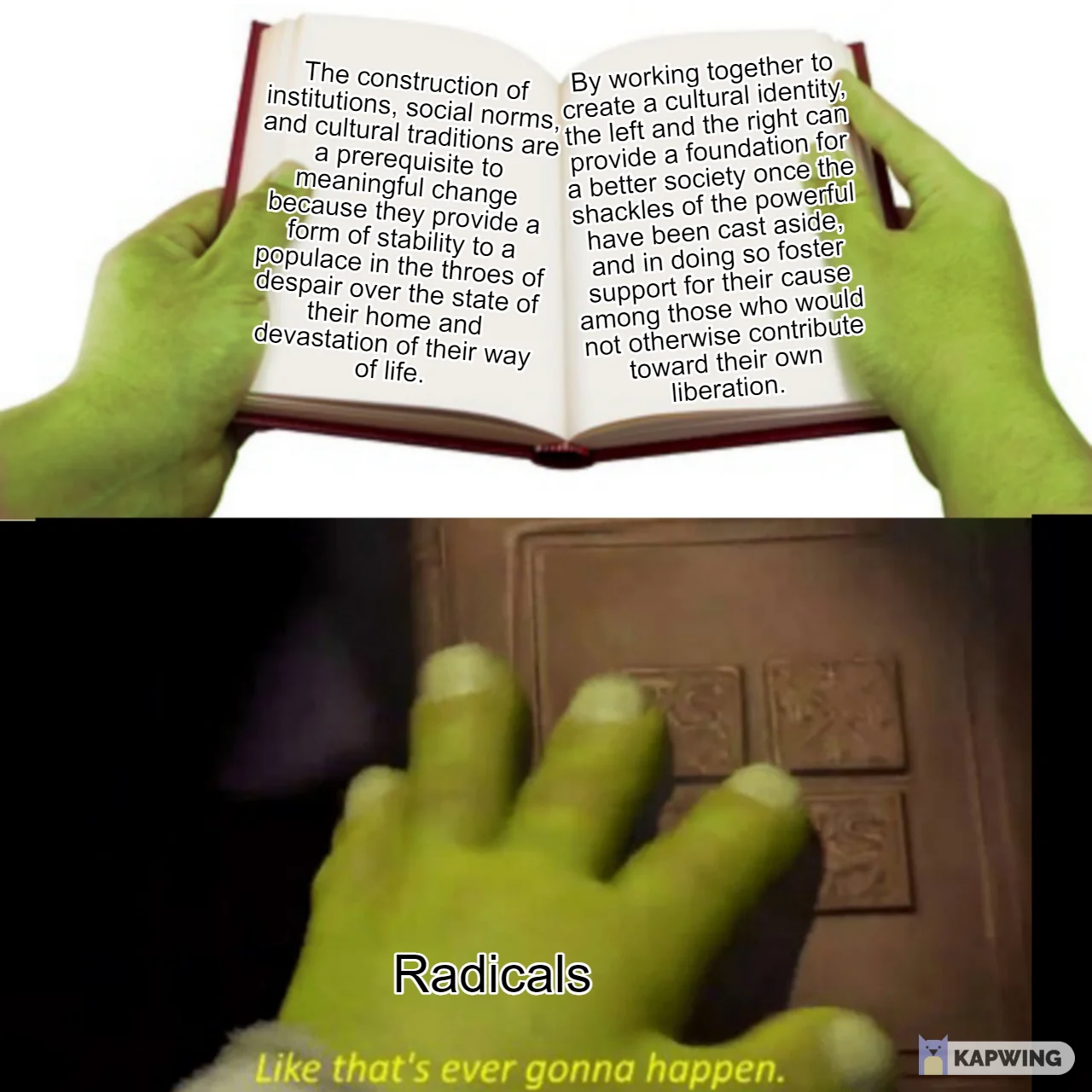 Picture has two panels. The first is Shrek's hands holding open a book. On the left page there is the text 'The
          construction of institutions, social norms, and cultural traditions are a prerequisite to meaningful change because they
          provide a form of stability to a populace in the throes of despair over the state of their home and devastation of their
          way of life.' the text on the right page says 'By working together to create a cultural identity, the left and the right
          can provide a foundation for a better society once the shackles of the powerful have been cast aside, and in doing so
          foster support for their cause among those who would not otherwise contribute toward their own liberation.' there's a lot
          of text on the first panel... the second panel is shorter though, as it's just Shrek slamming the book closed and saying
          'Like that's ever gonna happen.' Shrek's arm in this panel has the text 'Radicals' on it.