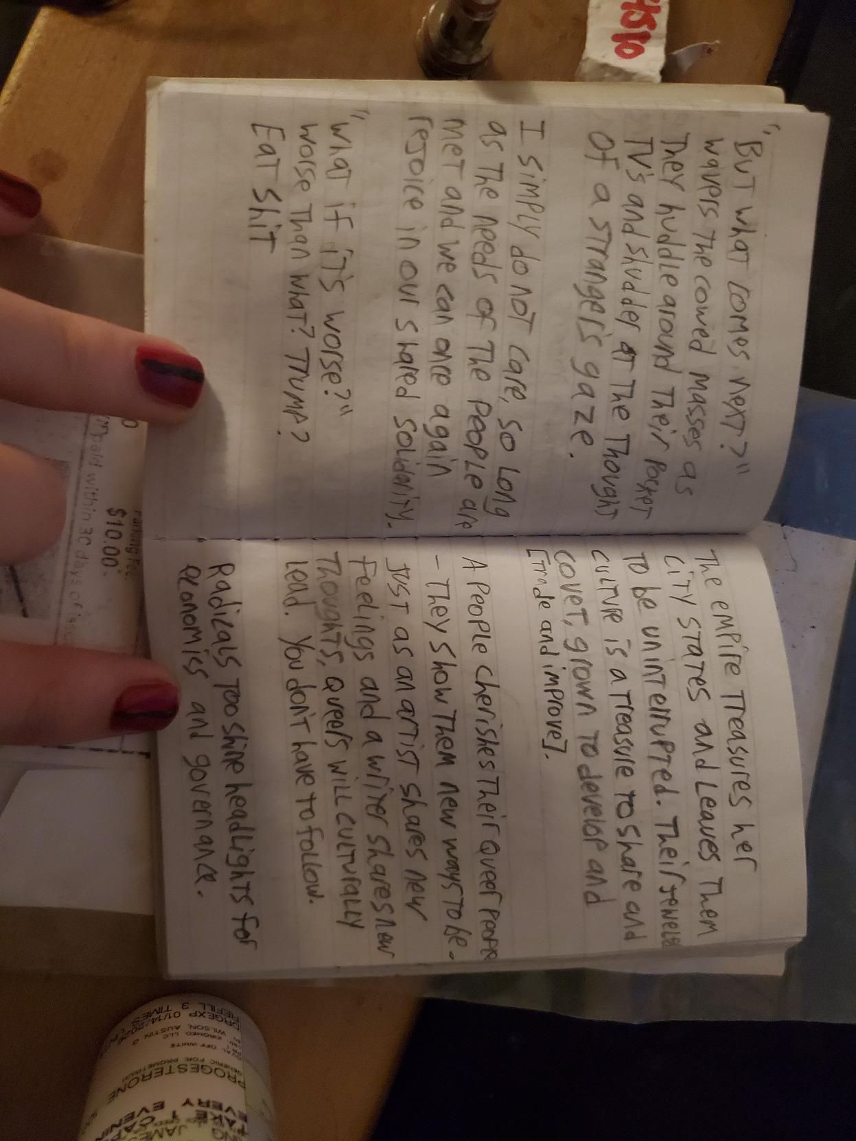 "But what comes next?"  wavers the cowed masses as they huddle around their pocket TV's and shudder at the thought of a stranger's gaze.  I simply do not care, so long as the needs of the people are met and we can once again rejoice in our shared solidarity.  "What if it's worse?"  worse than what? Trump?  EAT SHIT.  [next page]  the empire treasures her city states and leaves them to be uninterrupted. Their jeweled culture is a treasure to share and covet, grown to develop and [trade and improve].  a people cherishes their queer people - they show them new ways to be. Just as an artist shares new feelings and a writer shares new thoughts, queers will culturally lead. You don't have to follow.  radicals too shine headlights for economics and governance.