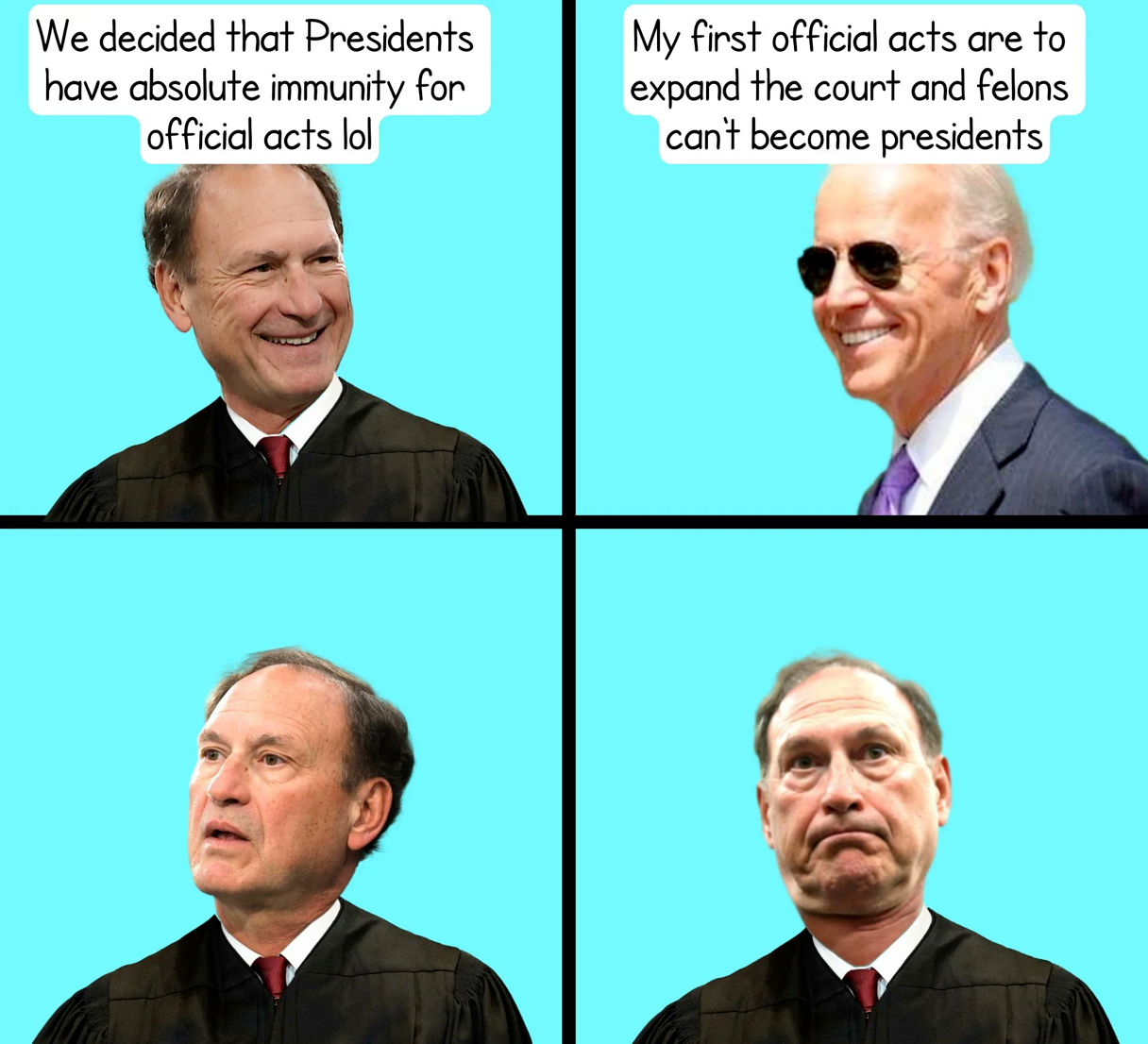 supreme court: we have decided that presidents have absolute immunity for official acts lol  biden: my first official acts are to expand the court and felons can't become presidents  supreme court:  supreme court: we've made a terrible mistake