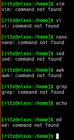 the same picture, except this time the only command installed is echo