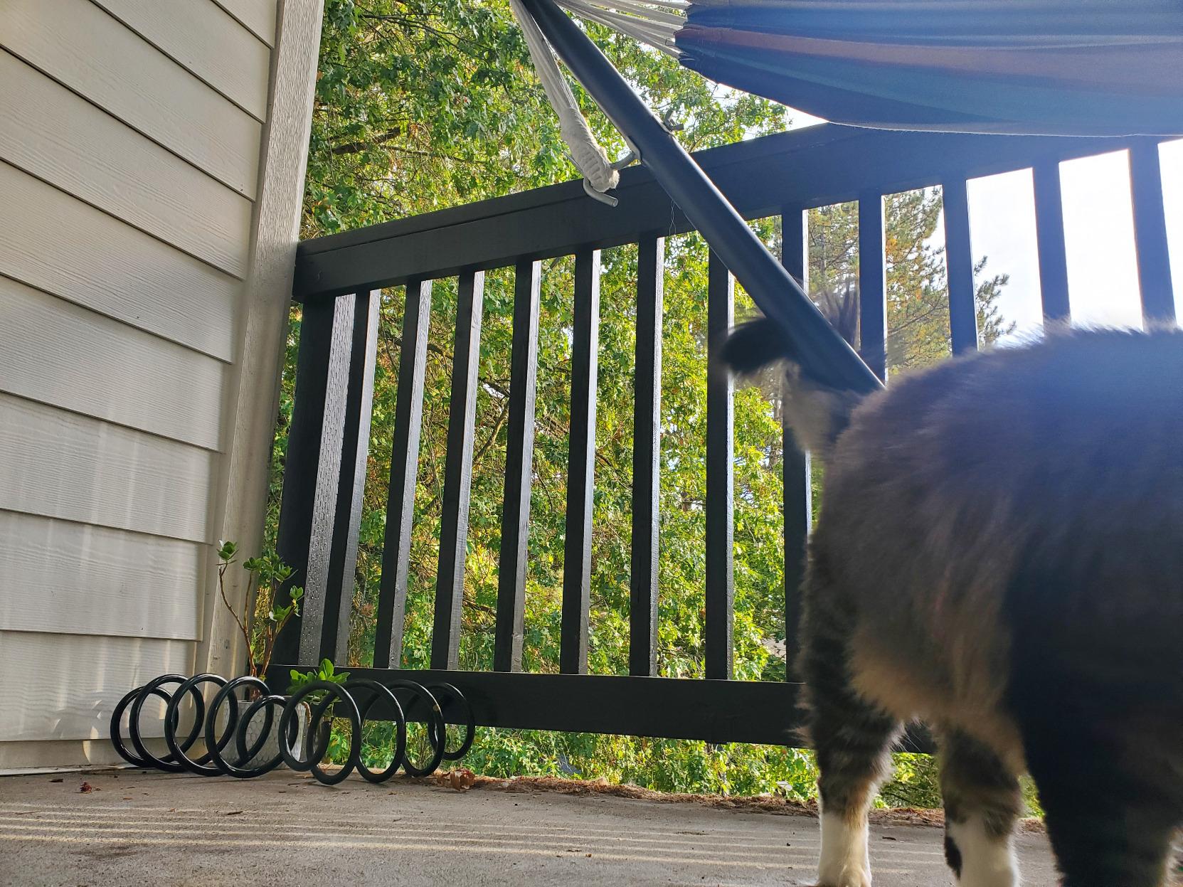 picture of a porch in the warm sunlight. There are bars on the edge and leaves on a tree in the background, leading you to believe this porch is on the third floor or greater. Solely based on your general understanding of the size of a tree, and how large they typically grow. the picture is taken as if from a cat's point of view, and the caption would read: "this is my part of the house. I have some tips that I learned from living here. Check it out."