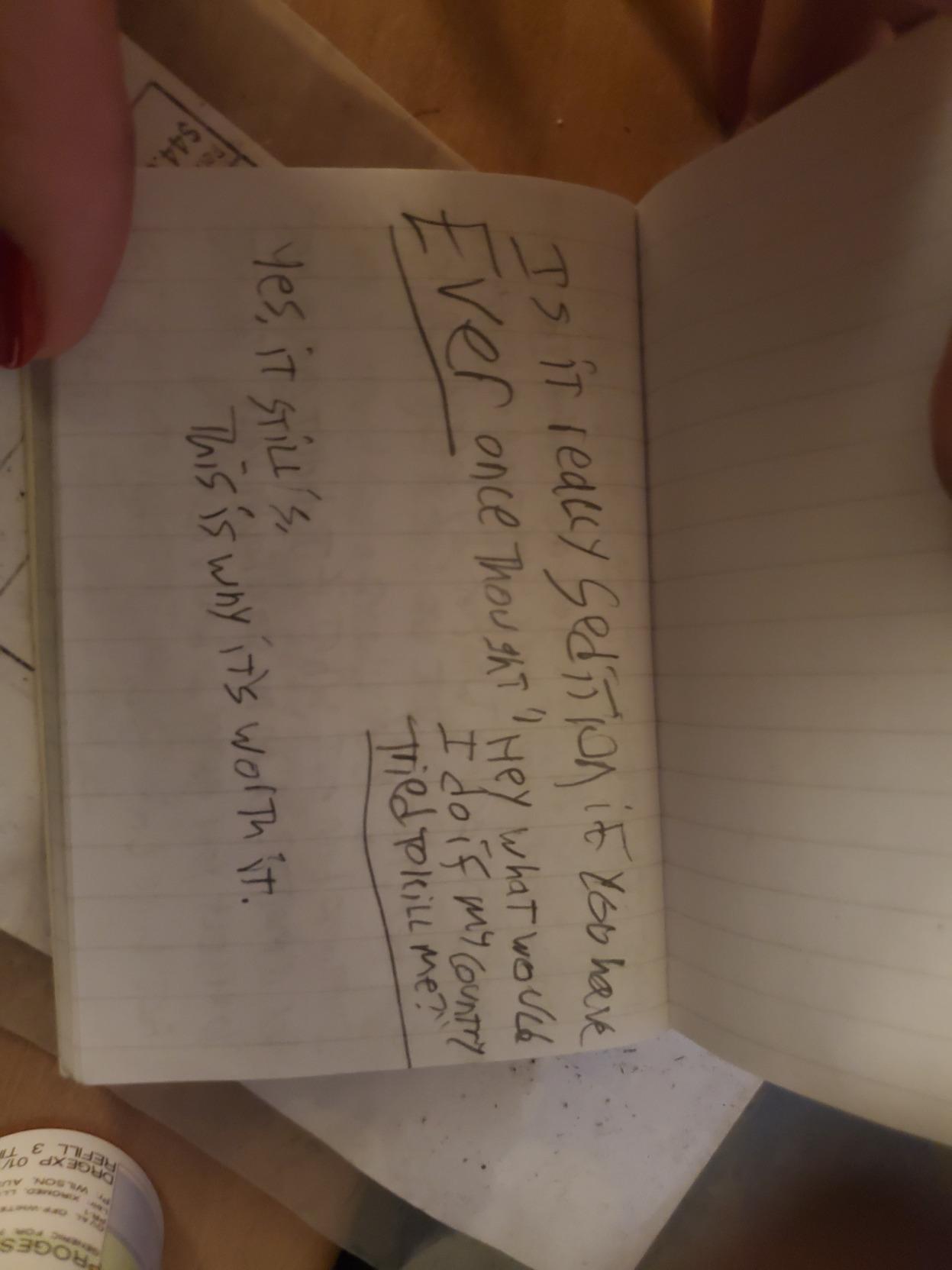 is it really sedition if you have EVER once thought " hey what would I do if my country TRIED TO KILL ME?"  yes, it still is.  this is why it's worth it.